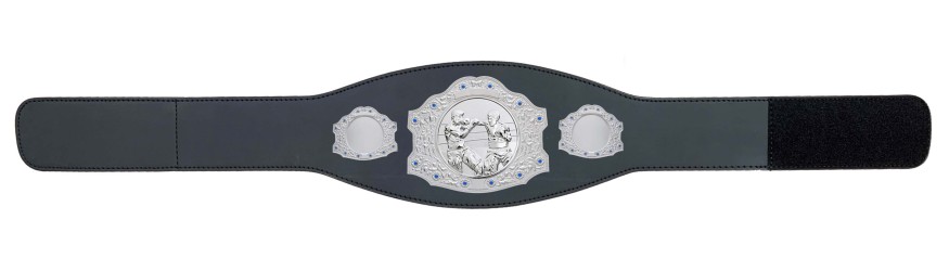 SILVER CHAMPIONSHIP BELT - XXLMIDI/S/BOXS - AVAILABLE IN 4 LEATHER COLOURS SILVER CHAMPIONSHIP BELT - XXLMIDI/S/BOXS - AVAILABLE IN 4 LEATHER COLOURS
